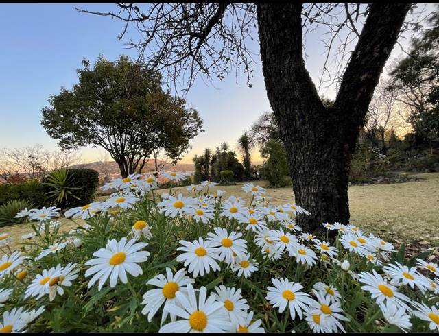 2 BEDROOM APARTMENT RENTED IN NORTHCLIFF